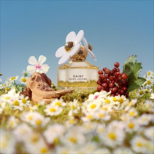 Perfume Feminino Marc Jacobs Fragrances Daisy- 50ml